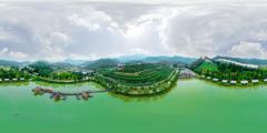 开平大沙里茶园 _江门市_夹水村 (2)